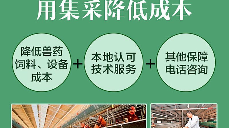 CDMO车间建设：创新药研发的坚实基石**