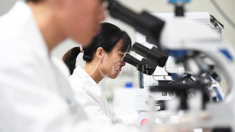生物科技公司产品分类参数详解：解码研发与生产的秘密**