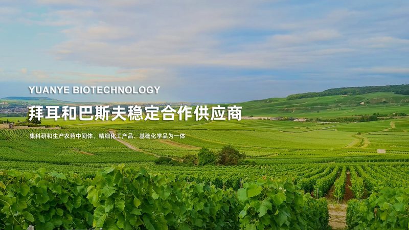 分子生物学试剂，价格背后的考量因素**
