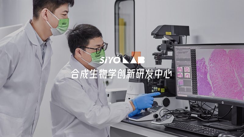 科研利器：荧光定量PCR试剂盒的原理与选型要点