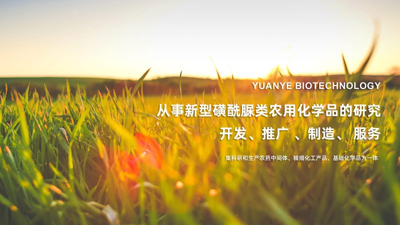 电商CRO策略：构建高效药物研发新路径