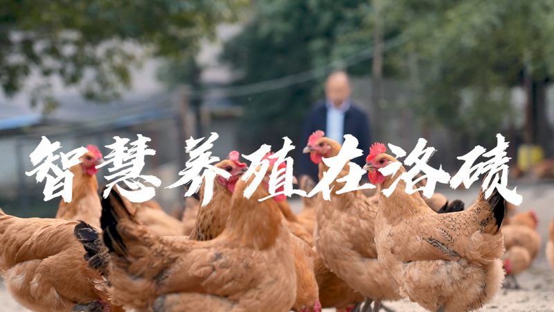 抗衰老生物科技美容仪，揭秘其科学使用流程