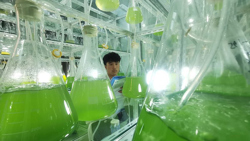离心管报价单，如何找到心仪的供应商？**